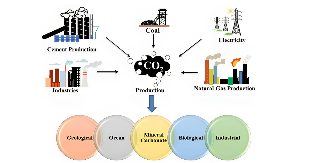 What is an example of new technology having a positive impact on sustainability?